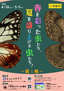 （イメージ）「春を彩った虫たち。夏を盛り上げる虫たち！-蝶と蛾-」展示会