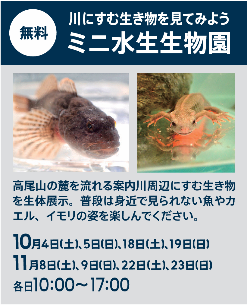 （イメージ）川にすむ生き物をみてみよう「ミニ水生生物園」