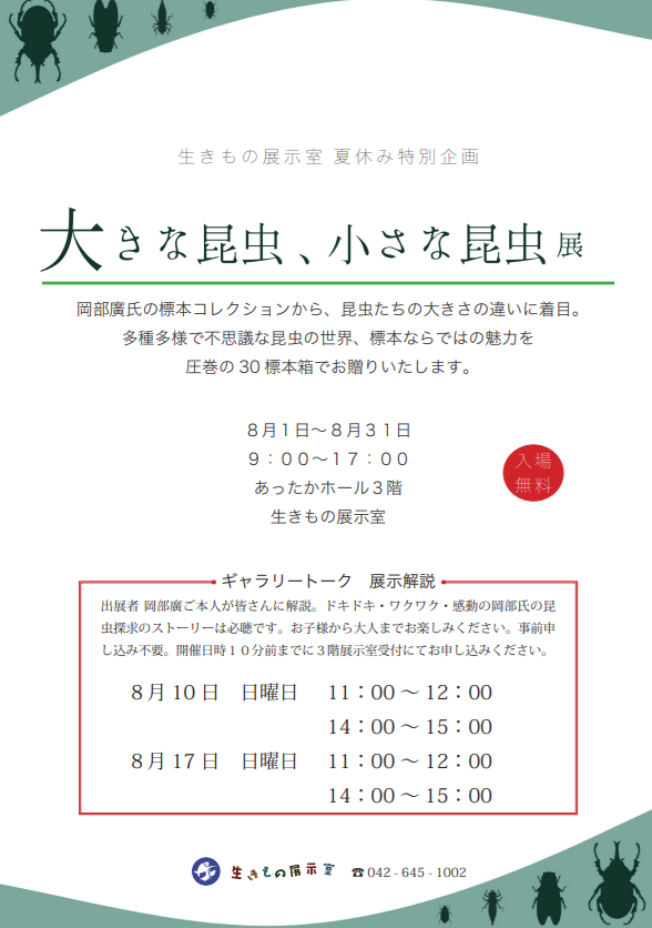 （イメージ）大きな昆虫、小さな昆虫展 展示の特別解説Day!!