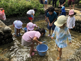 （イメージ）ニジマスつかみと焼き体験つかみ（8月）